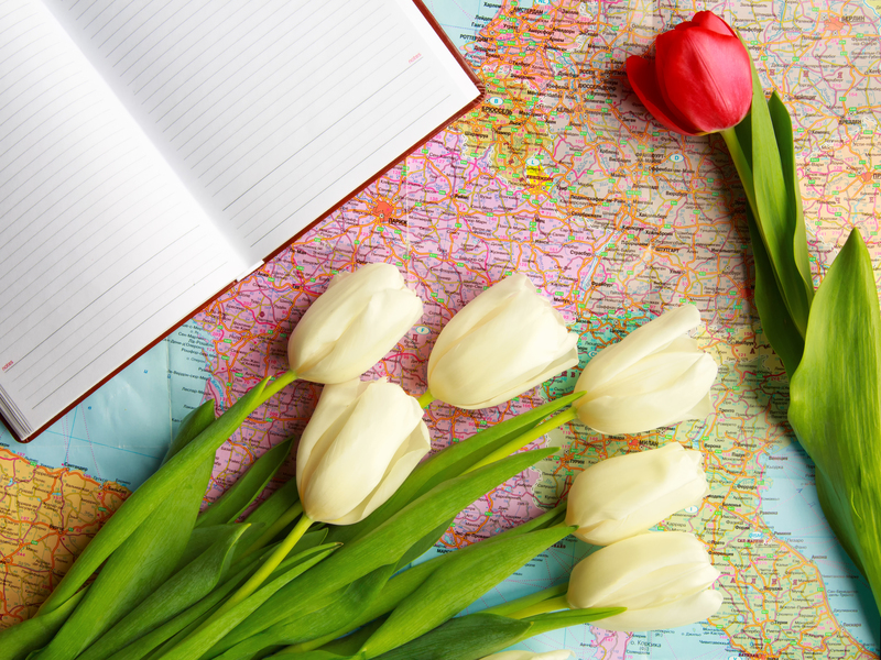 bouquets  / bridal bouquets bouquets  / Bridal bouquets